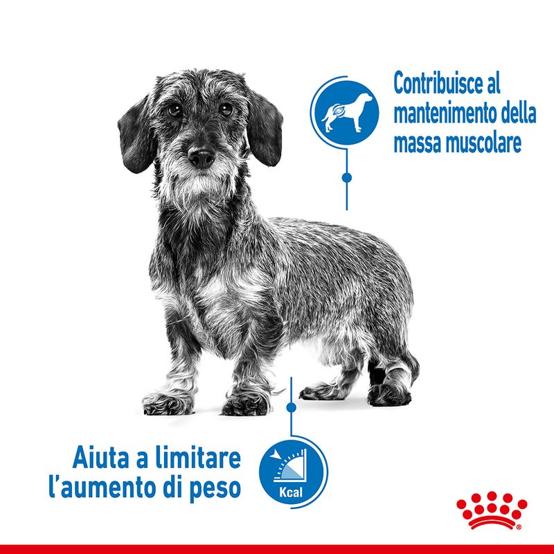 12x85g Royal Canin Light Weight Care - Cibo Umido per Cani 12x85g Royal Canin Light Weight Care - Cibo Umido per Cani